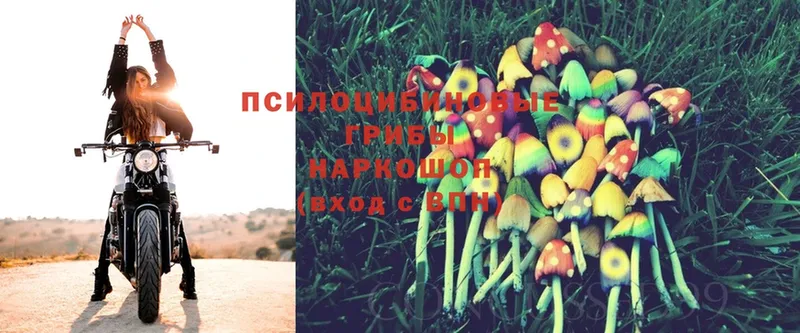 Галлюциногенные грибы MAGIC MUSHROOMS  Горнозаводск 